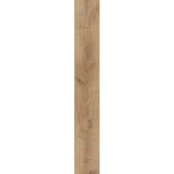 Fillzer Fresh Oak 7mm x 8.7 in. W x 59.4 in. L 22MIL Click Lock Waterproof Luxury Vinyl Plank Flooring (25 sq.ft./case)