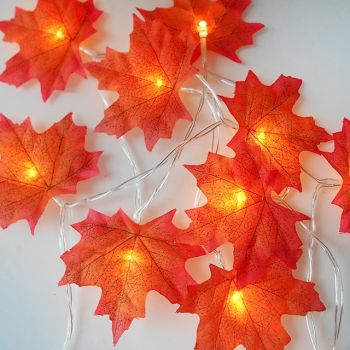 3m String Lights 20 LEDs 1 set Warm White Creative Party Decorative USB Powered