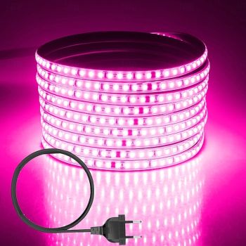 Outdoor Waterproof LED Light Strip Flexible Ribbon Rope Tape Light, 120 LEDs/M with EU, UK, AU Plug No Driver Needed, Multiple Colors Perfect for Indoor and Outdoor Use AC 220~240V 1pc for Halloween