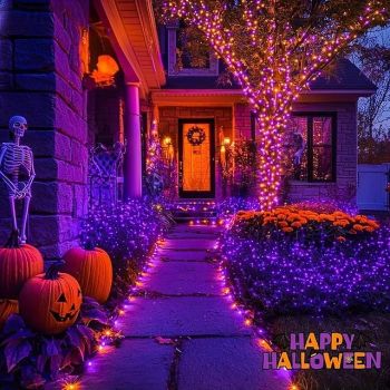 1PC Solar String Lights Halloween Outdoor Decoration IP65 Waterproof Solar Fairy Twinkle Lights 8 Lighting Modes Suitable for Halloween Christmas Party Tree Wedding Garden Balcony Holiday Decoration