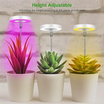 Plant Light Angel Ring Fleshy Fill light USB Colored Full Spectrum LED Bonsai Indoor Timed Dimming Growth Light is Suitable For Indoor Plants Potted Meat Fish Tank Plants  1PC Illuminate Your World