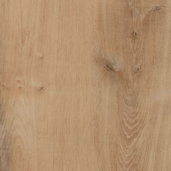 Fillzer Fresh Oak 7mm x 8.7 in. W x 47.6 in. L 30MIL Click Lock Waterproof Luxury Vinyl Plank Flooring (20.06 sq.ft./case)