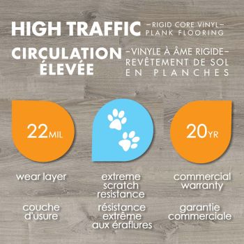 Fillzer Champagne Beach Wood 7mm x 8.7 in. W x 59.4 in. L 22MIL Click Lock Waterproof Luxury Vinyl Plank Flooring (25 sq.ft./case)