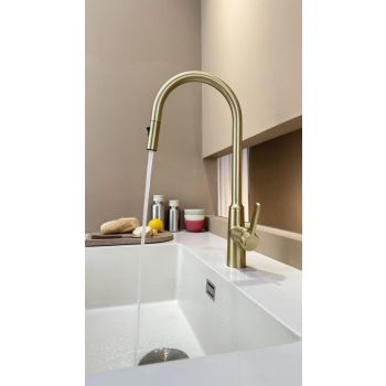 Toplly Elegant Multifunctional Pull-Out Kitchen Faucet,Elegant Modern Gold Pull-Down Kitchen Faucet 