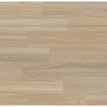 Fillzer Peace Ridge Oak 6.5mm x 8.7 in. W x 47.6 in. L 22MIL Click Lock Waterproof Luxury Vinyl Plank Flooring (20.06 sq.ft./case)