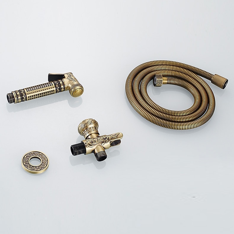 Self-Cleaning Bidet Antique Copper Single Hole  Brushed Chrome 2025 - CAD $84.99 –P2