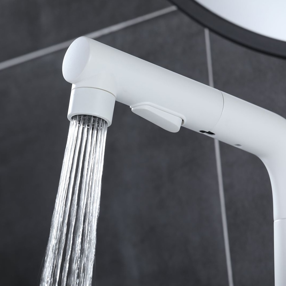Bathroom Sink Faucet - Rotatable / Pull out Chrome / Electroplated / Painted Finishes Centerset Single Handle One HoleBath Taps 2025 - CAD $135.99 –P5