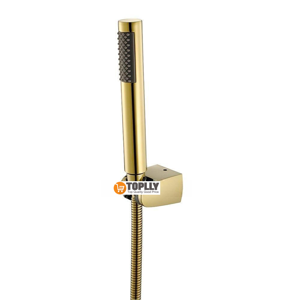 Contemporary Hand Shower Chrome / Brushed / Ti-PVD Feature - Shower Shower Head / Stainless Steel / Brass / Yes 2025 - CAD $23.99 –P9