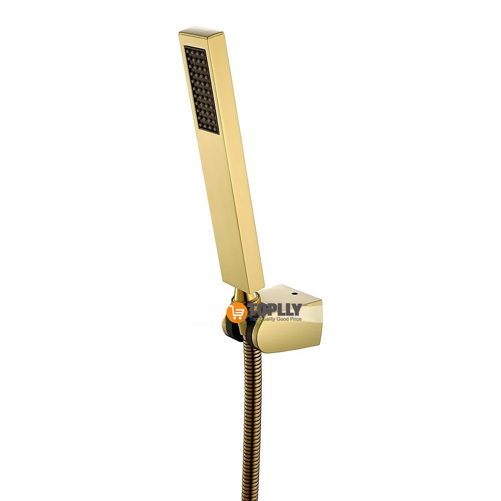 Contemporary Hand Shower Chrome / Brushed / Ti-PVD Feature - Shower Shower Head / Stainless Steel / Brass / Yes 2025 - CAD $23.99 –P13