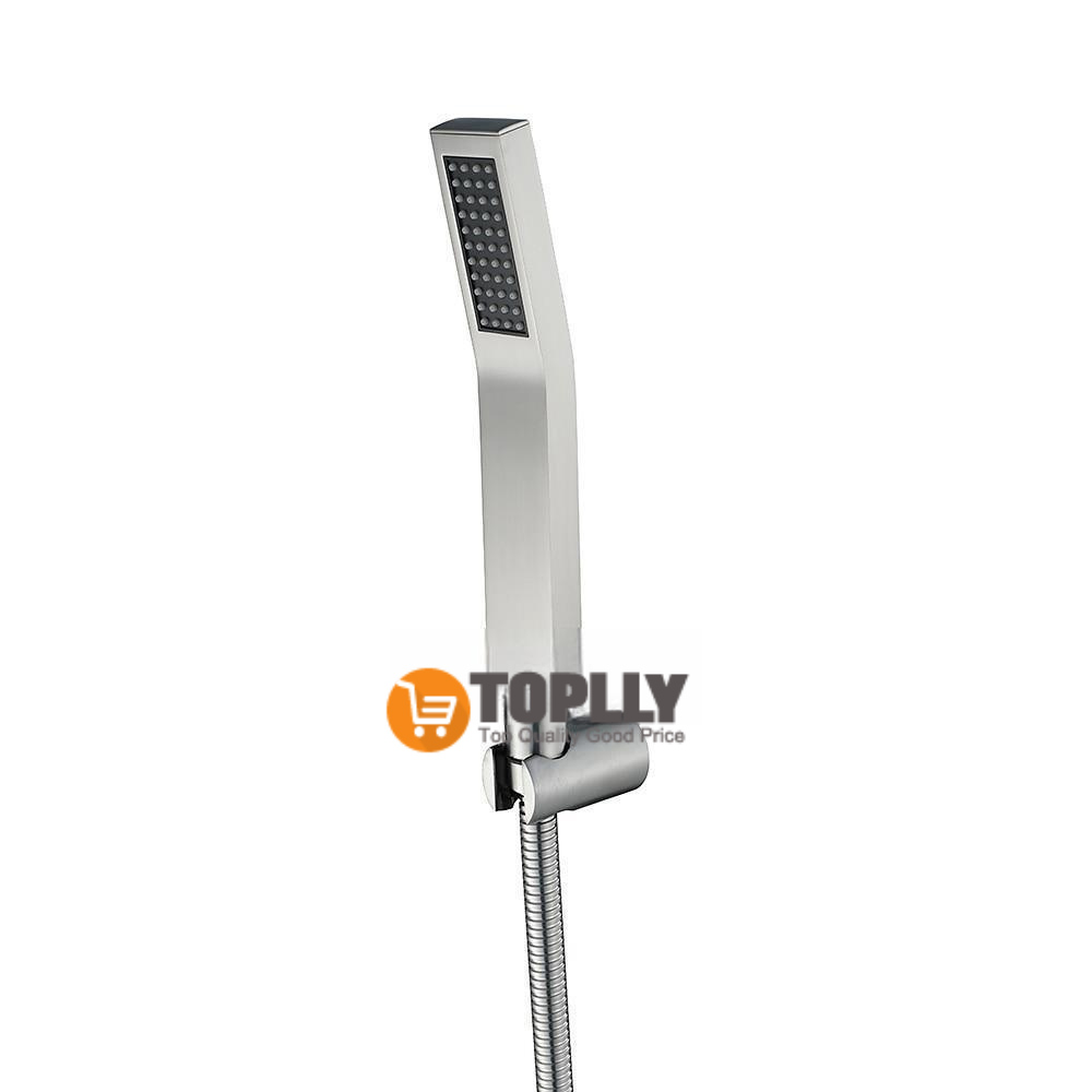 Contemporary Hand Shower Chrome / Brushed / Ti-PVD Feature - Shower Shower Head / Stainless Steel / Brass / Yes 2025 - CAD $23.99 –P17