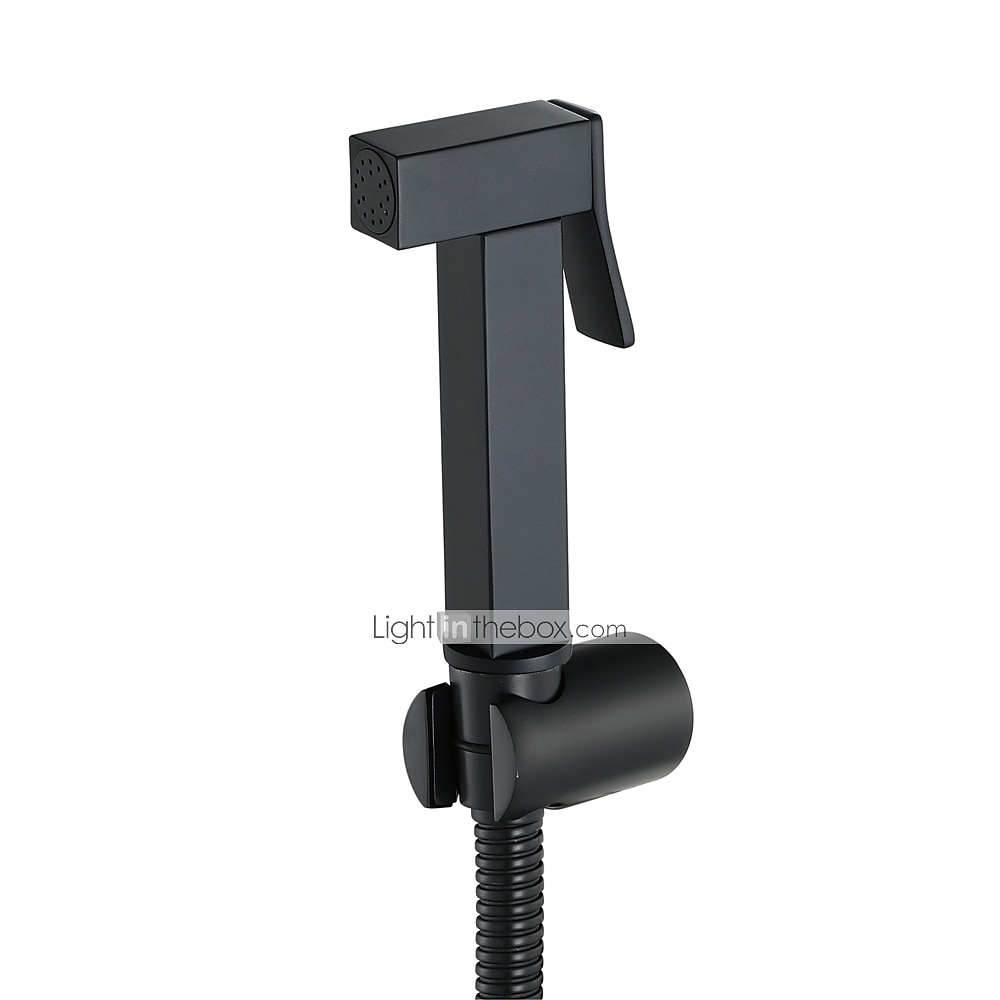 Single Hole Bidet Electroplated Toilet Handheld Bidet Sprayer Self-Cleaning Contemporary 2025 - CAD $59.99 –P8