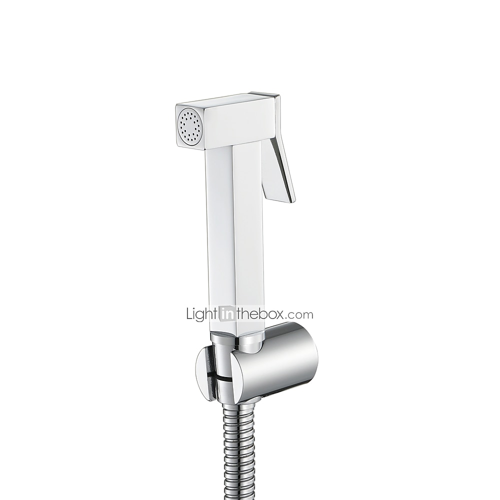 Single Hole Bidet Electroplated Toilet Handheld Bidet Sprayer Self-Cleaning Contemporary 2025 - CAD $59.99 –P2
