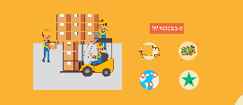 TOPLLY Wholesale